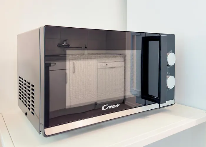 Daire Elsa Portorož