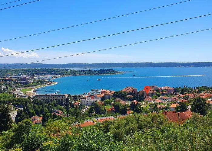 Daire Elsa Portorož